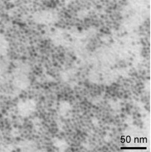 Copper Nanoparticles/Nanopowder ( Cu, 5~7nm)