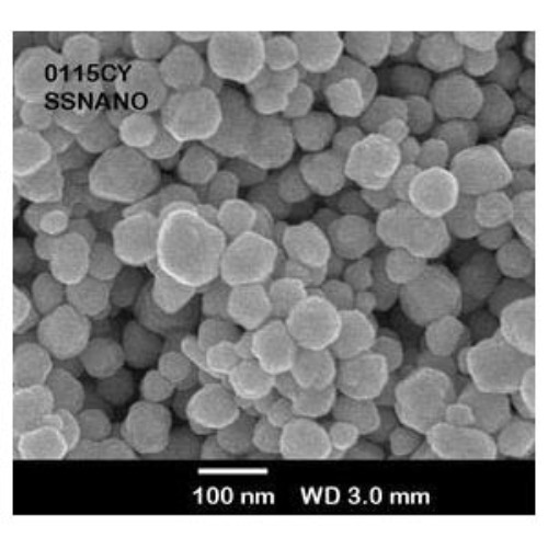 Silver Ag Nanoparticles/ Nanopowder ( Ag, 99.95%, 100nm)