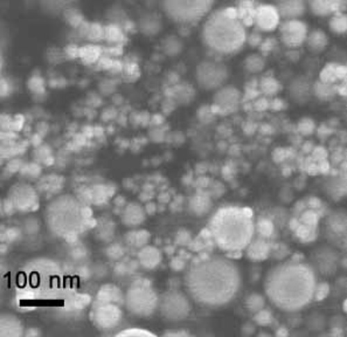 Tin Nanoparticles/nanopowder ( Sn, 99.7%, 100nm)
