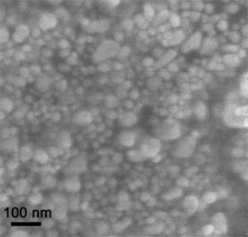 Titanium Nanoparticles/ nanopowder ( Ti, 99.9% 40-60nm)
