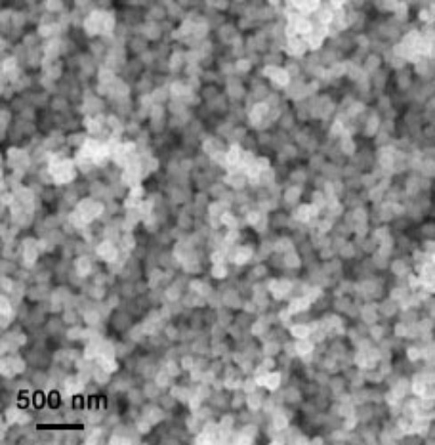 Barium Titanate Nanoparticles/Nanopowder ( BaTiO3, 99.9%, 100nm, Cubic)