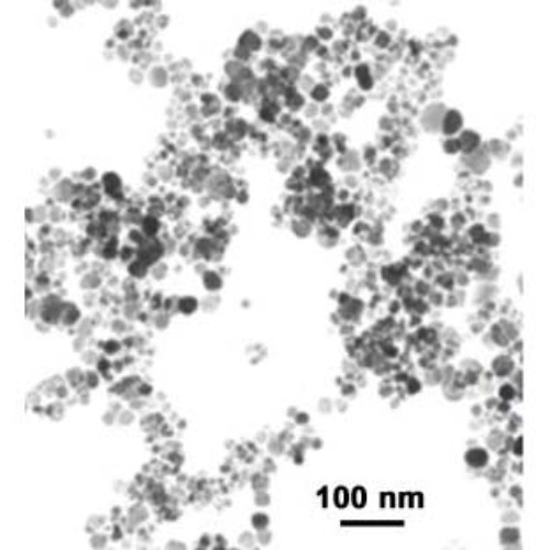 Iron Oxide Nanopowder / Nanoparticles ( Fe3O4, 98%, 20~30nm)