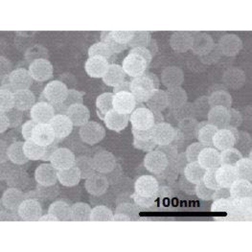 Silicon Oxide Nanoparticles / Nanopowder modified with double layer
