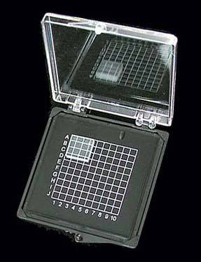 One 55 mm x 55 mm (2.17&amp;quot;x2.17&amp;quot;) Gel Sticky Box with Tray- Transparent Cover - (SP2-5510T/BK-LL-P33)