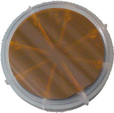 GaP wafer undoped (111) 2&quot; diaX 0.45mm 2sp,R&gt; 7 x10^7 ohm.cm,Semi-Insulating