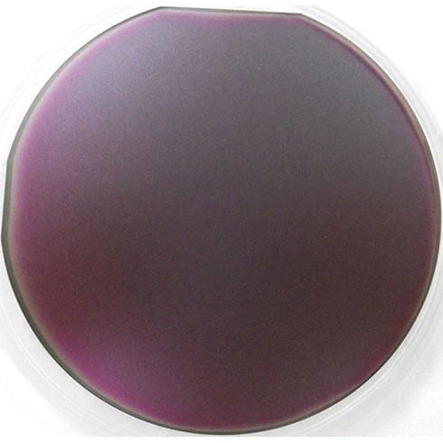 Graphene Oxide Thin Film on Glass,D=50.8 mm, thickness=1 mm