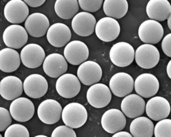 Plain surface melamine nanospheres and microspheres(Organic/Melamine/Plain)