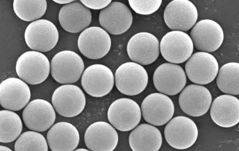 Melamine nanospheres and microspheres with amino functional surfaces(Organic/Melamine/Amino NH, NH2)