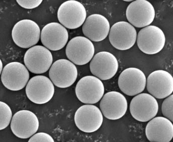 Melamine nanospheres and microspheres with carboxy functional surfaces(Organic/Melamine/Carboxy COOH)
