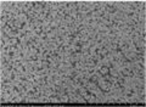 Single Crystal LiNiCoMnO2 (Ni:Co:Mn=8:1:1) Powder for Li-ion Battery Cathode, 200g/bottle - Lib-LNCM811-SC