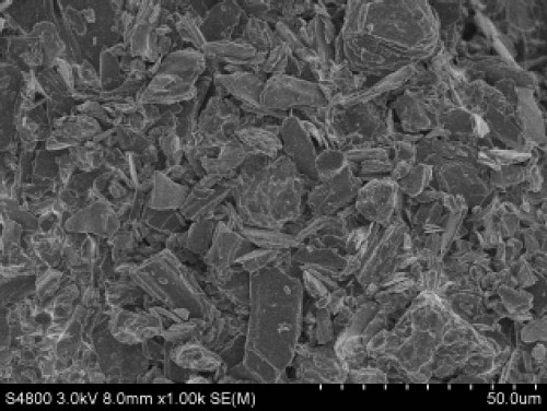 Soft Carbon Powder for Sodium/Lithium Ion Battery Anode, 200g, EQ-SIB-BSC (부가세별도)