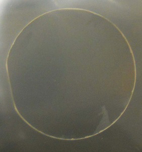 LaAlO3, (100)  Orn. 0.5&amp;quot; x 0.5mm wafer  2SP